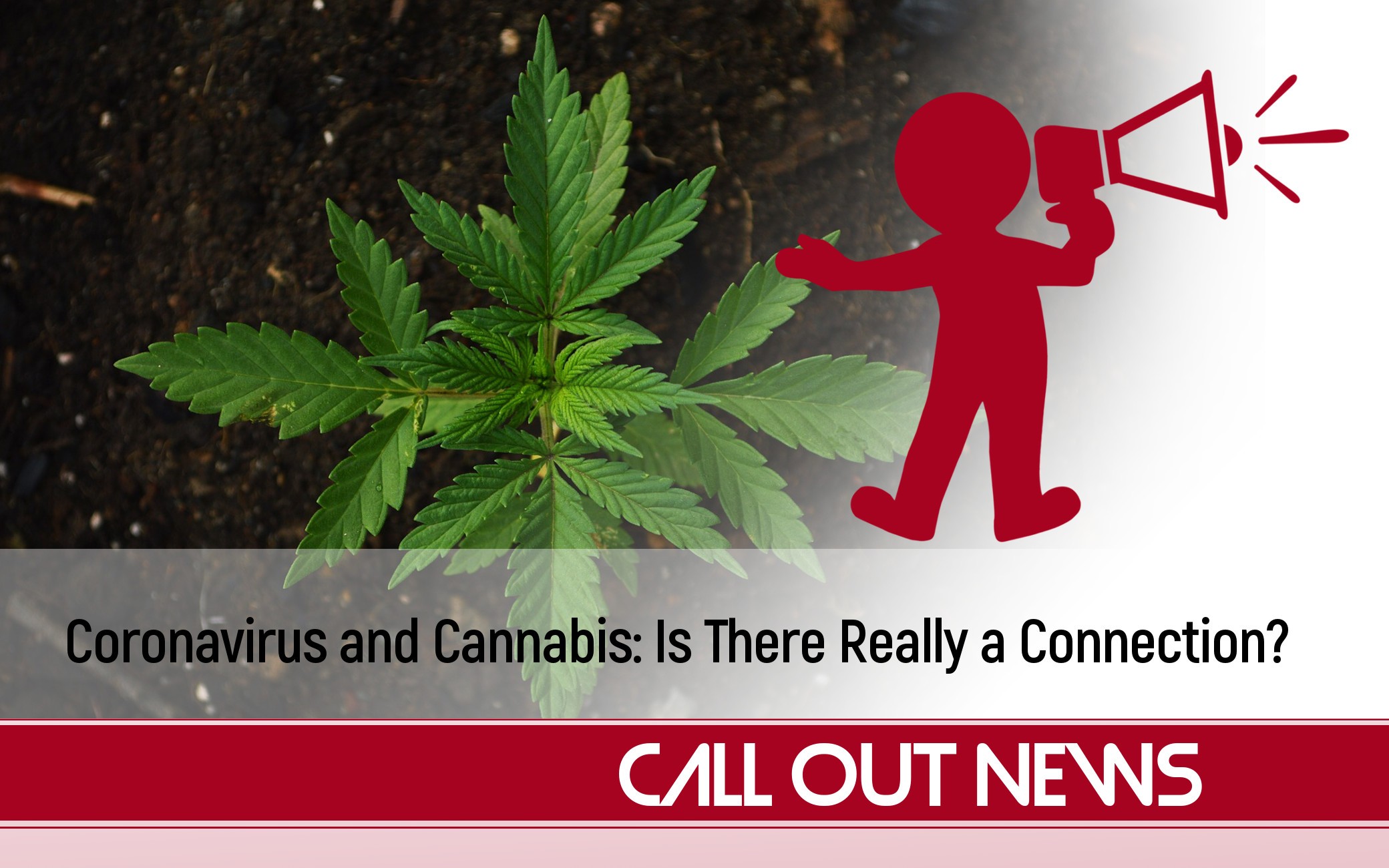 calloutnews-coronavirus-cannabis Coronavirus and Cannabis: Is There Really a Connection?