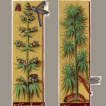 Why Cannabis Can Suddenly Trigger Panic - Neuroscience News